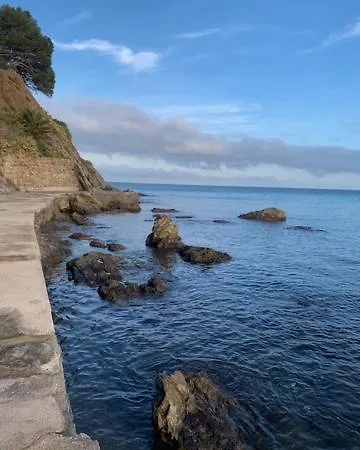 La Grande Bleue : T1 Banyuls-sur-Mer