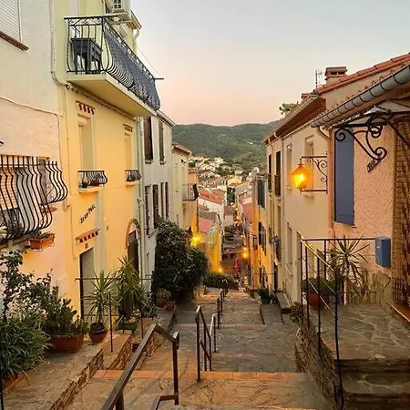 La Grande Bleue : T1 * Banyuls-sur-Mer