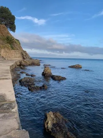 La Grande Bleue : T1 Banyuls-sur-Mer